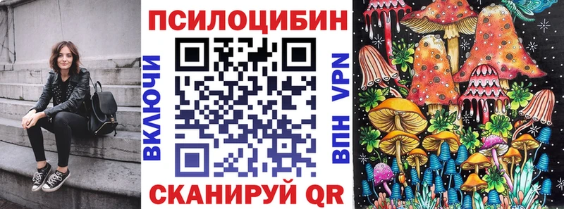 ссылка на мегу ссылка  где продают наркотики  Волгоград  Псилоцибиновые грибы прущие грибы 